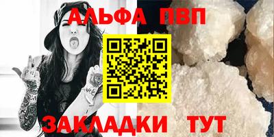стаф Новокубанск