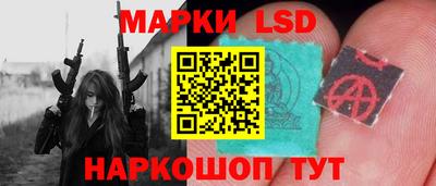 стаф Новокубанск