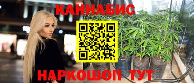 стаф Новокубанск