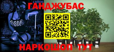 стаф Новокубанск